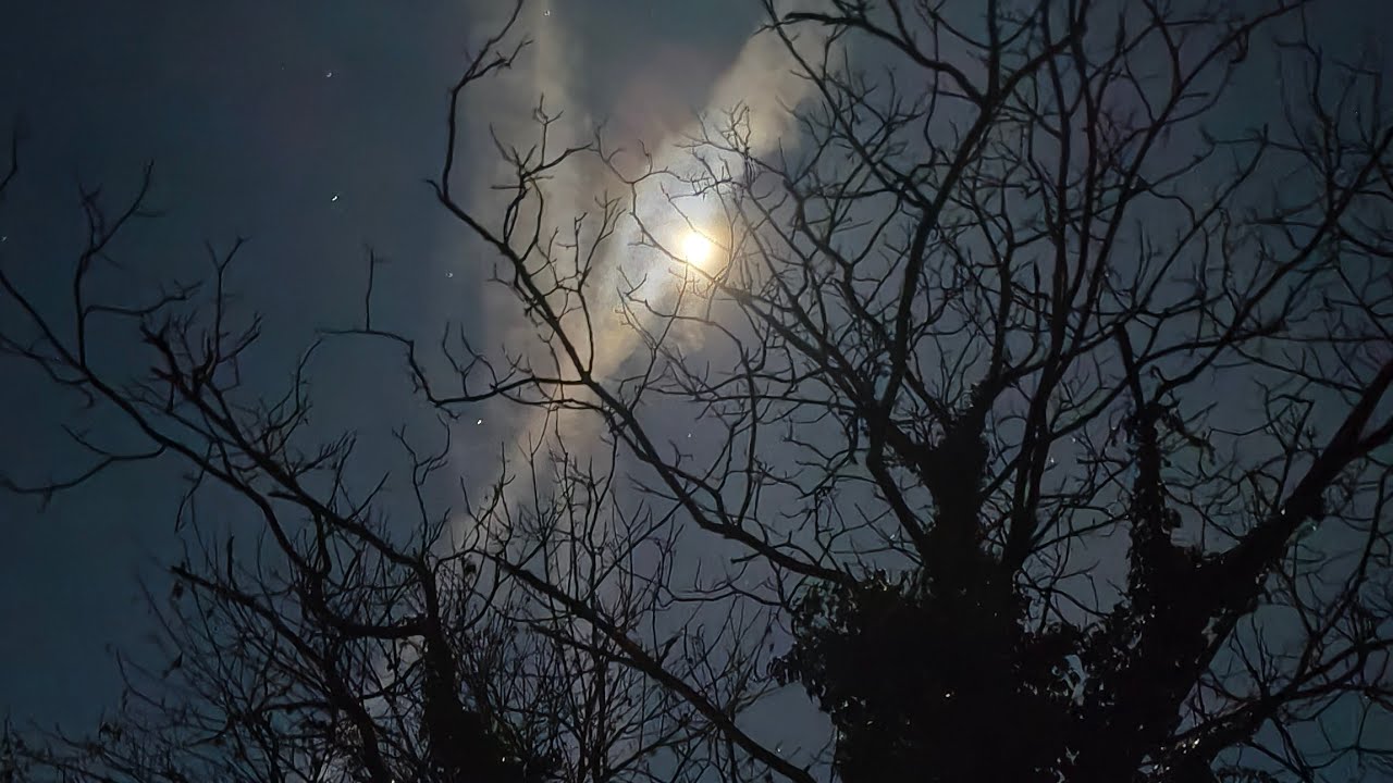 Vasi SURVIVAL  este live!.... târziu în noapte