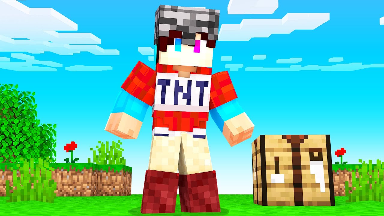 MINECRAFT Maar Je Kan ALLE ARMOR MAKEN!