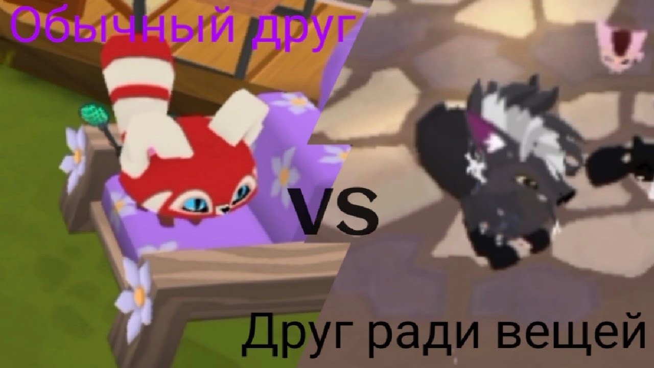 Энимал джам обычный друг протиа друга ради вещей!