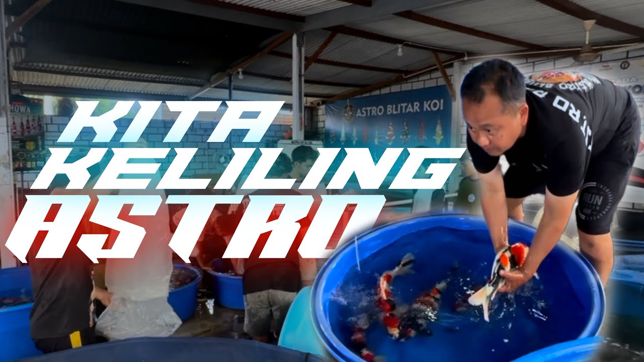 🔴AGENDANYA KITA KELILING INIMAH😋| MINIVLOG DI ASTRO BLITAR KOI