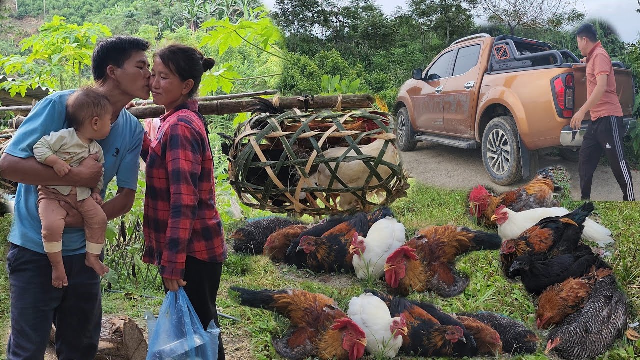 Sell all the chickens, exchange for what the whole family dreams of in the future