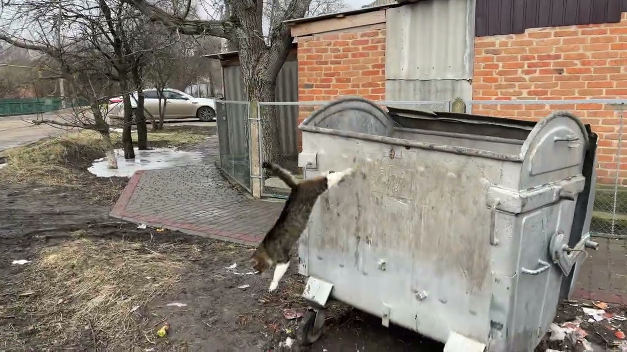 3 березня 2026 р.