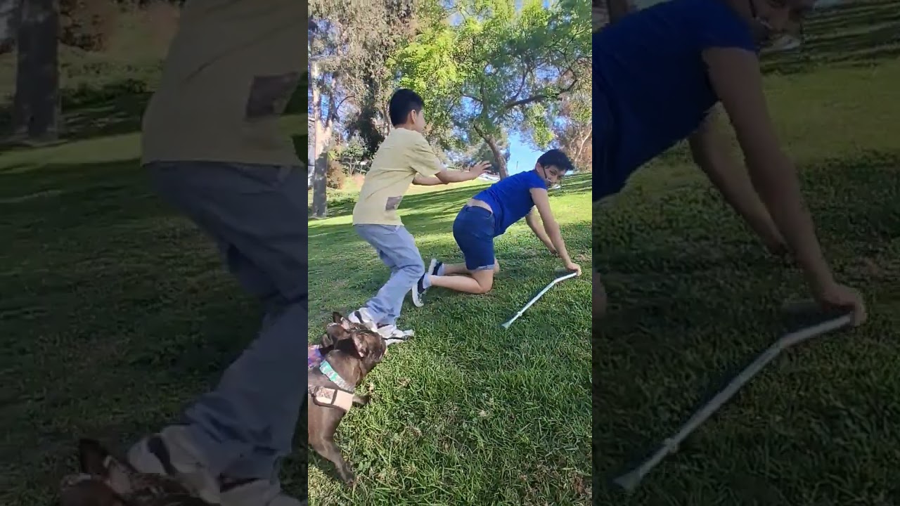 Grandpapi RAGE