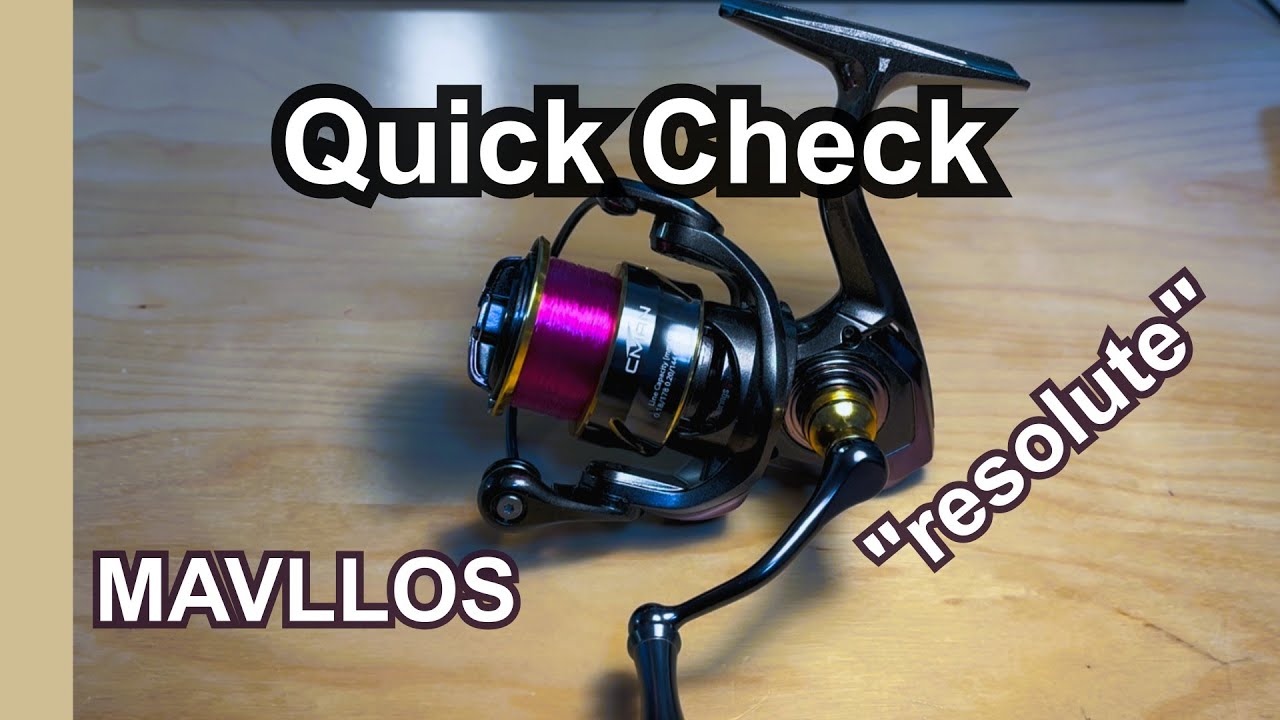 Wieviel Rolle bekommt man im Budgetbereich? Mavllos Resolute Spinning Rolle review
