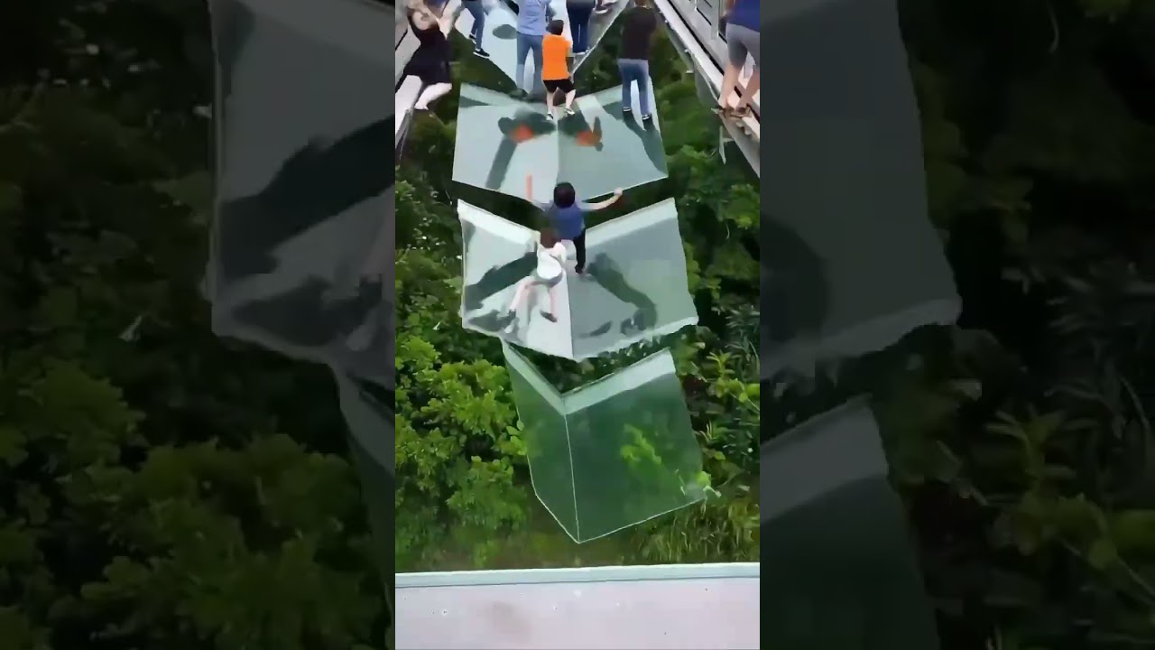 She threw a stone onto the glass bridge😕 #trending