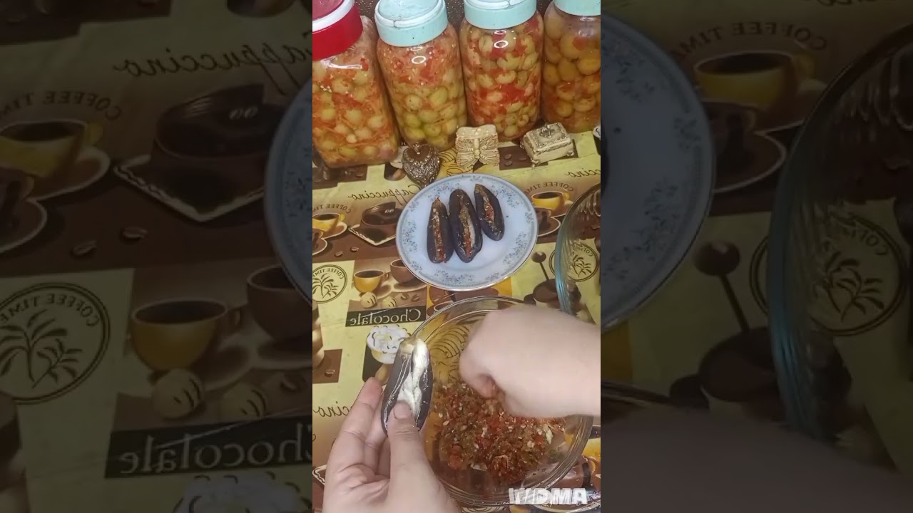 بتنجان مخلل يقعد معاكى شهر فى التلاجه