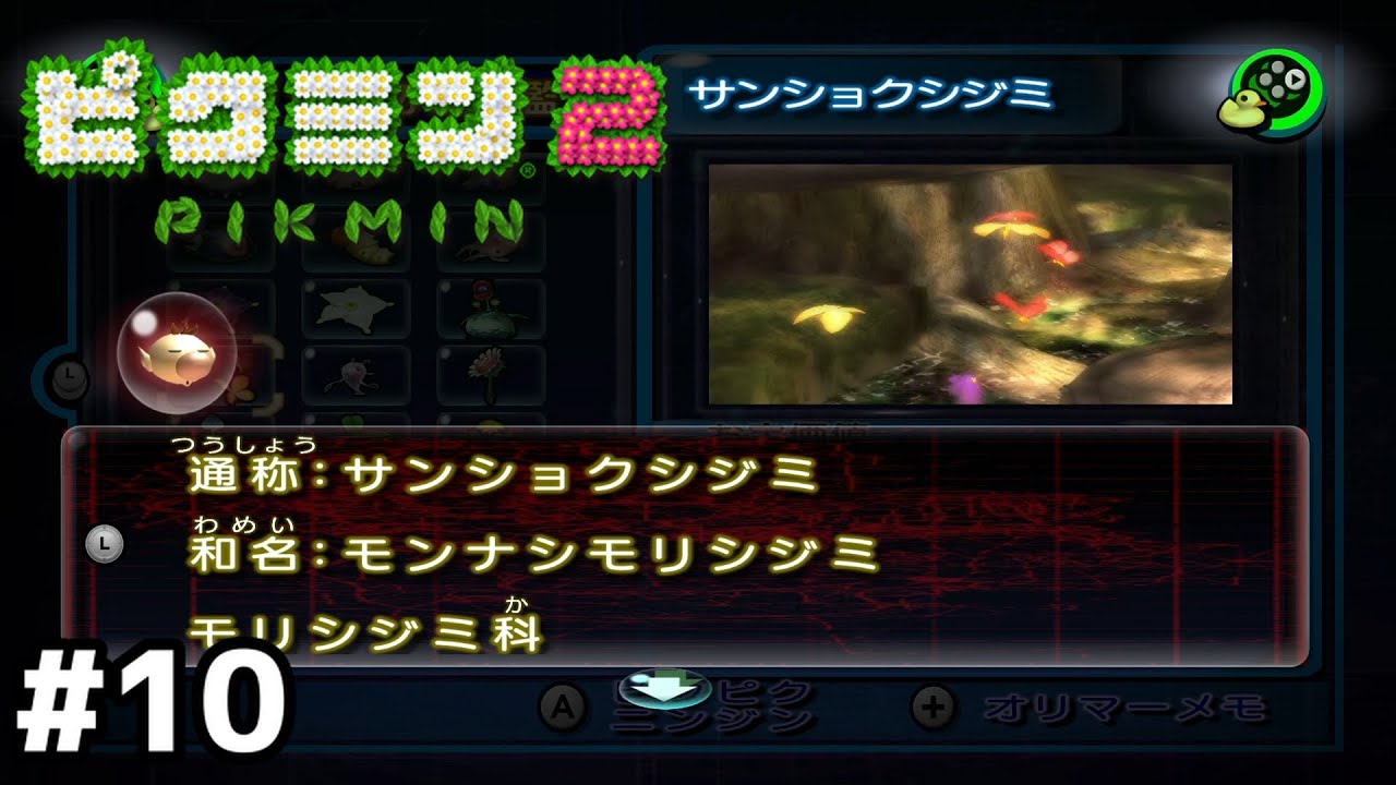 お宝探し止めて昆虫採集するか？【ピクミン2】#10