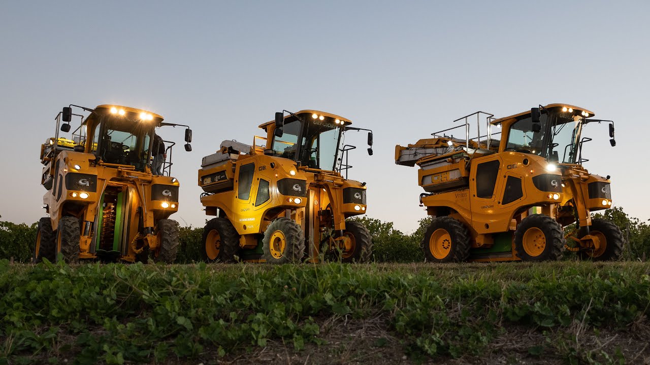 Trois Grégoire G8 aux vendanges en Cognac - De la vigne au chais - SARL Guindant Distillerie