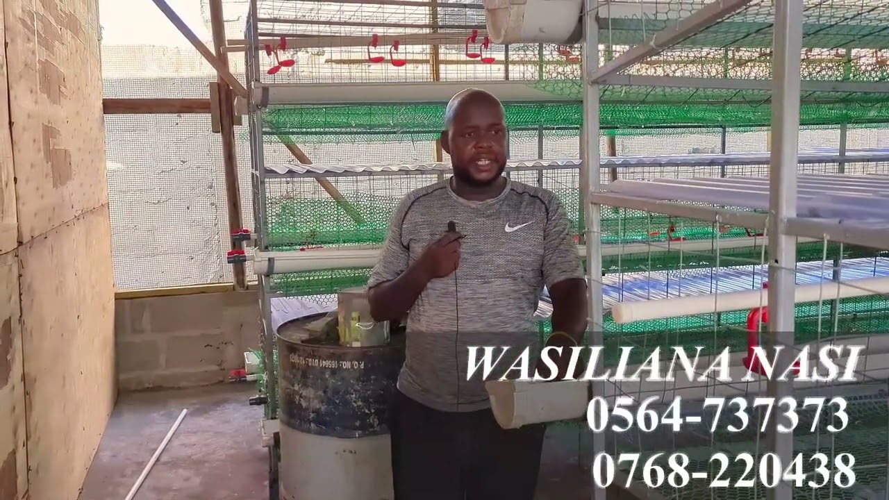 ONGEZA FAIDA, TATUA CHANGAMOTO ZA UFUGAJI NA CHARITY FARM, #banda #kuku #ufugaji #poultryfarming