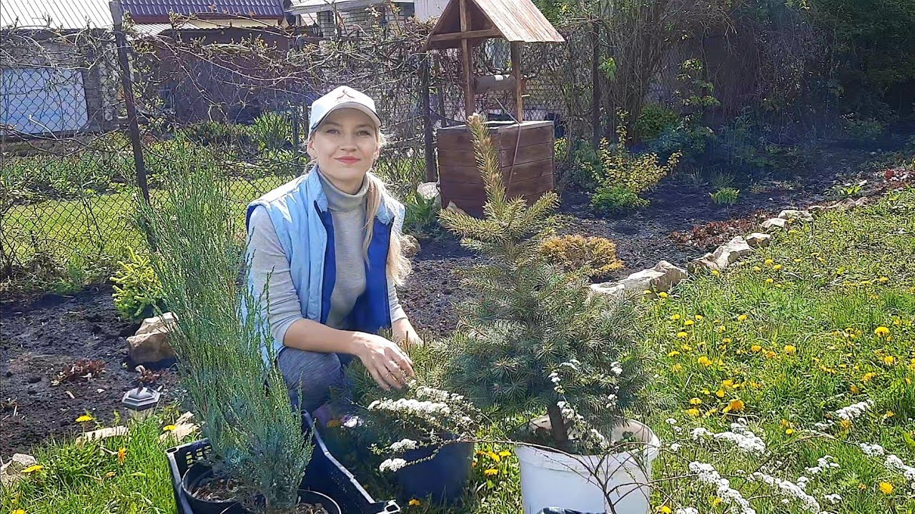 ПОТРАТИЛА ВСЕ ДЕНЬГИ В САДОВОМ ЦЕНТРЕ/НОВЫЕ ХВОЙНЫЕ И КУСТАРНИКИ ДЛЯ МОЕГО МИКСБОРДЕРА