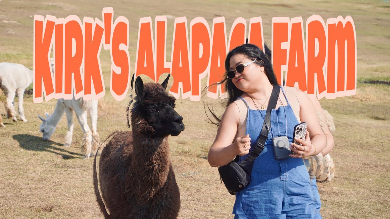 KIRK'S ALPACA FARM