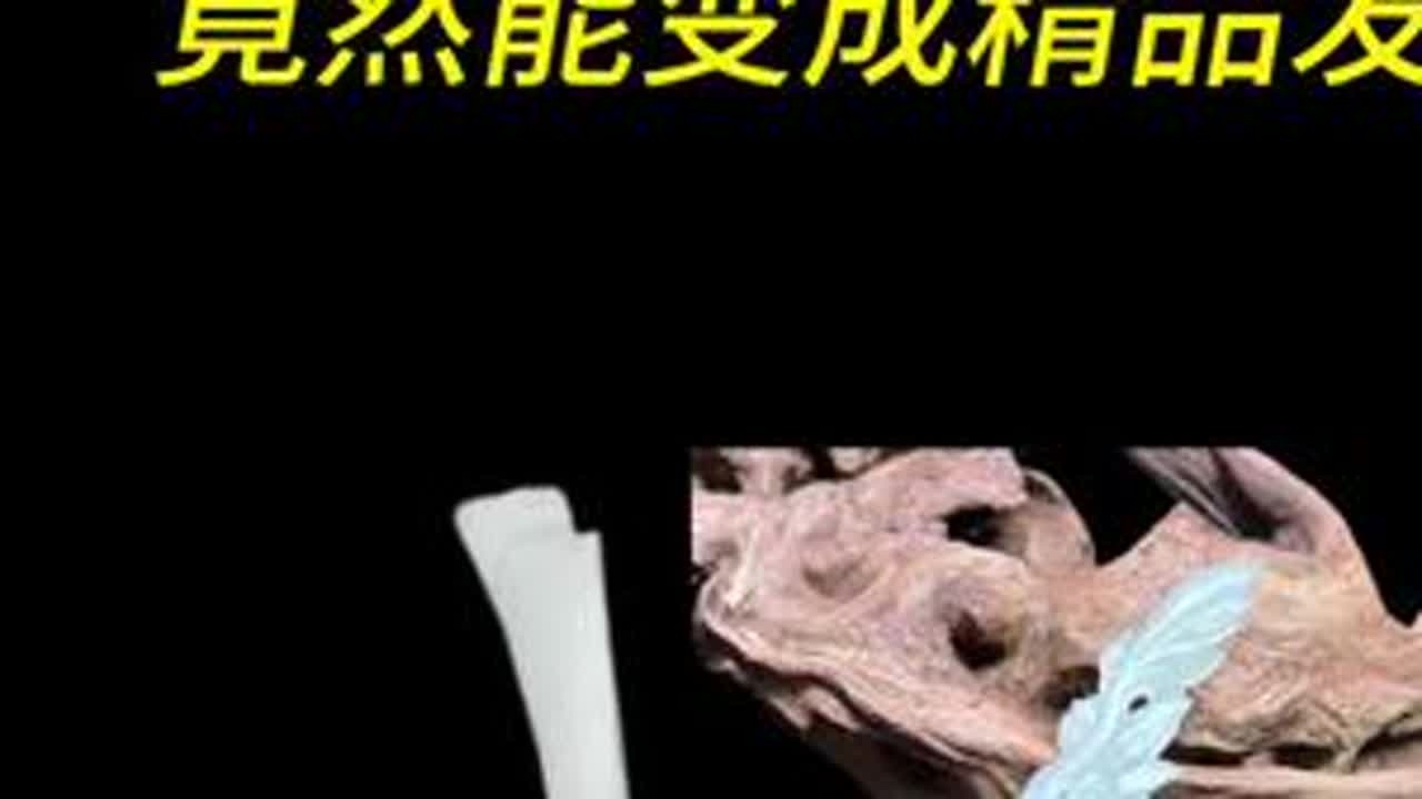 一块不起眼的石头竟然能雕刻成精品玉雕？ #玉雕#和田玉#发簪