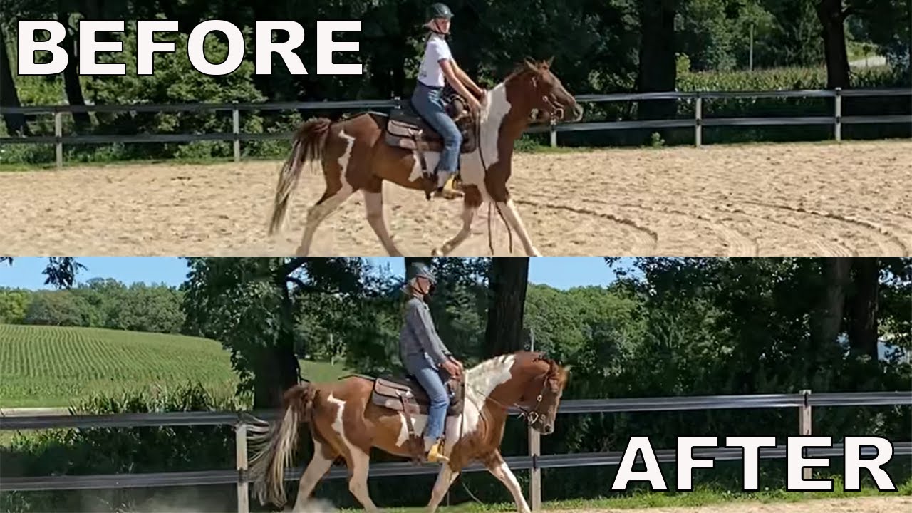 Emily Learns How to Use Her Horse's Reins Correctly