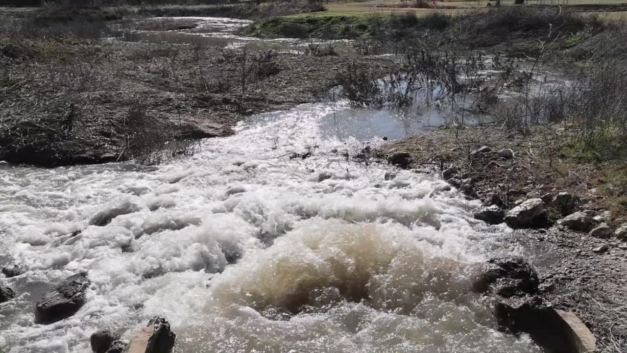 Lake Waco Wetlands coming back to life as pump fills habitat for first time since March 2022