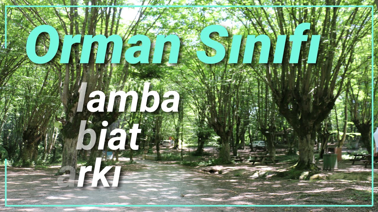 Bartın İl Milli Eğitim Müdürlüğü - Telafide Ben de Varım