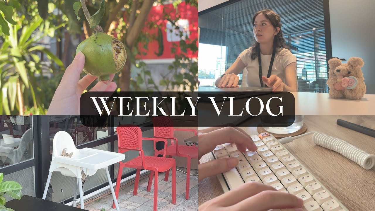 Kurumsal tiyatrosu, AI psikozu, aralıklı oruç, kediler| Weekly Vlog #4