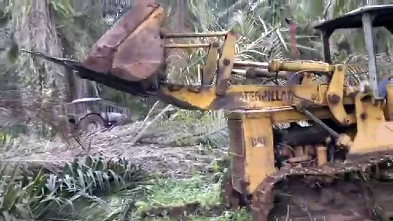 Tumba de palma aceitera CAT 951 B
