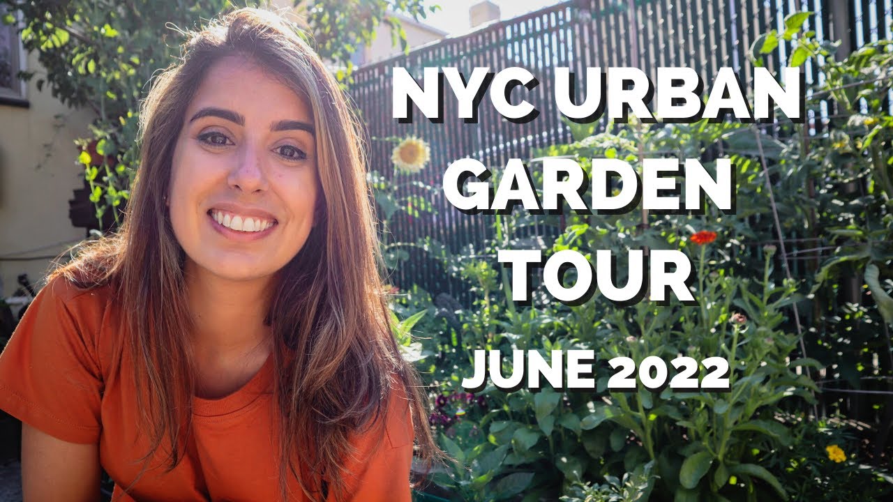 FULL Garden Tour | WEEK 4 // New York City Urban Garden
