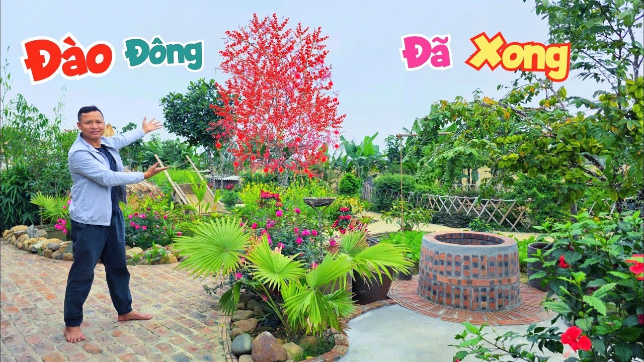 Làm Xong Cây Đào Đông Siêu To Khổng Lồ Và Buổi Nhấc Lợp Tôm Đầy Bất Ổn / Quế Nghịch