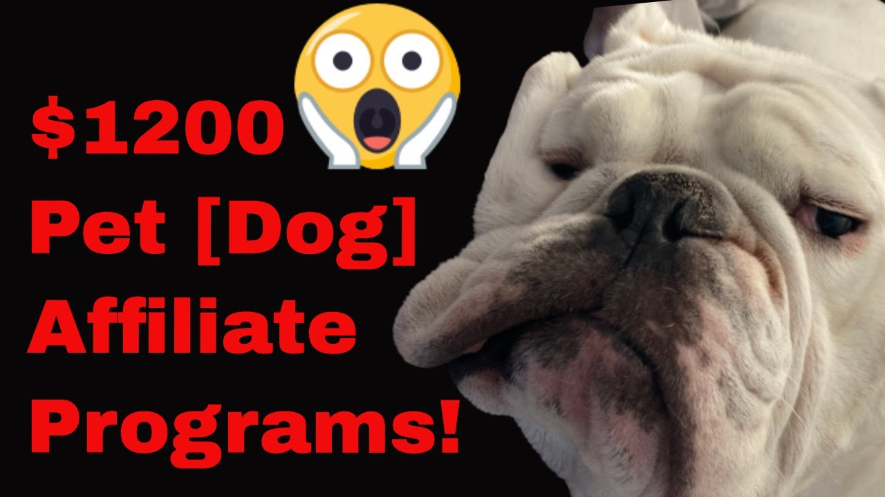 What are the best Pet Affiliate Programs [Dogs]