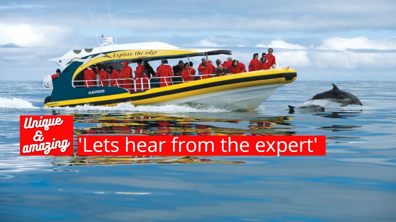 Pennicott Journeys- Bruny & Tasman Island Cruises | Australia Travel | Luxury Travel Advisor |