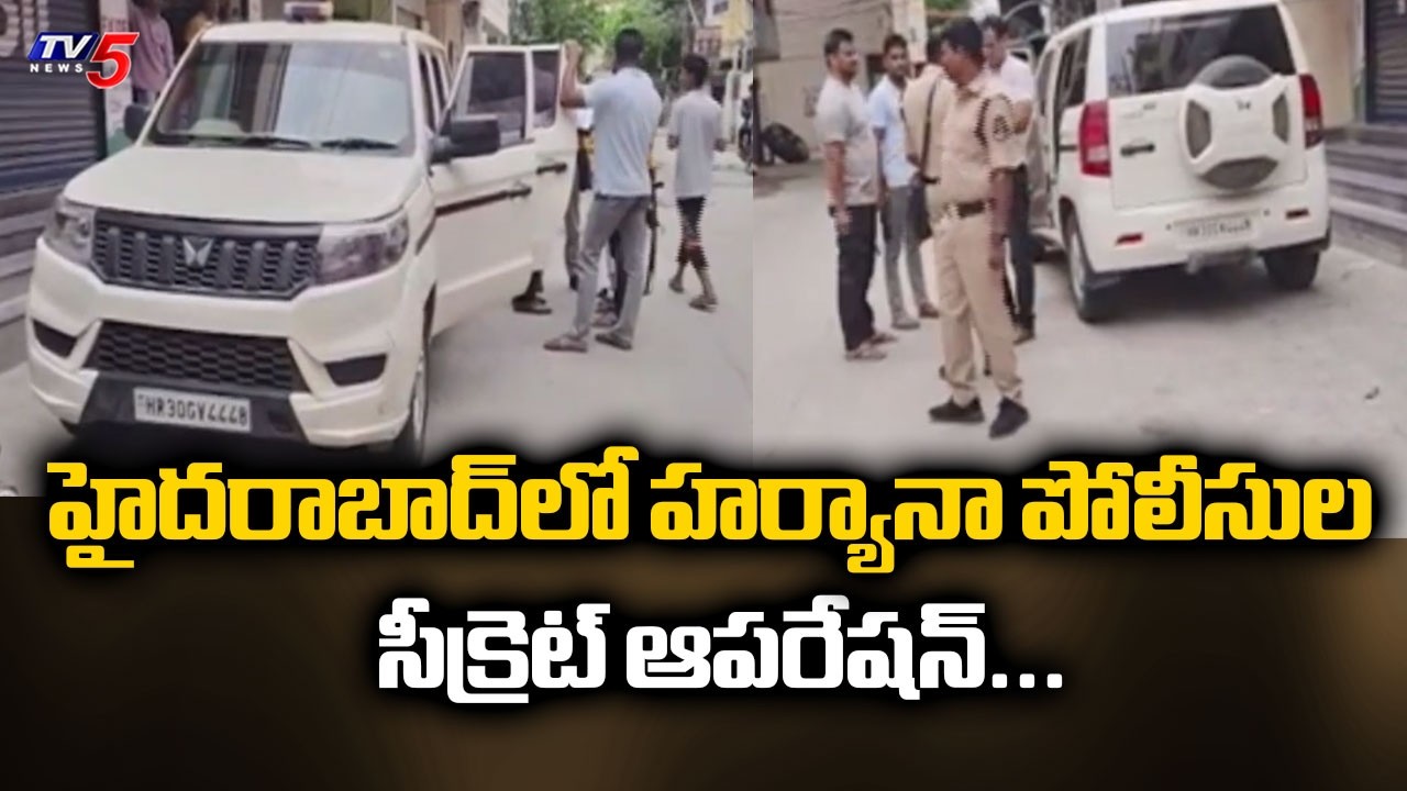 Haryana Police Search Operation In Old City, Nab One In Robbery Case | | TV5 News