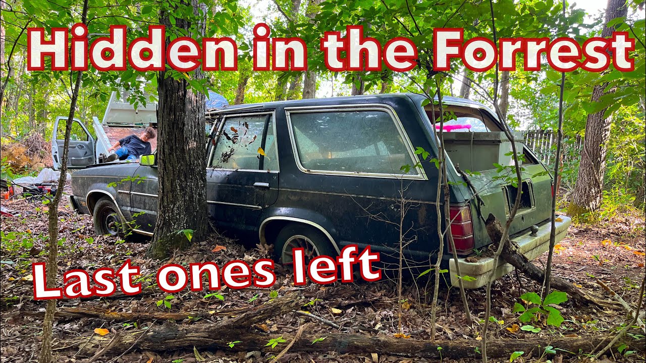 4000 cars down to just a few left! We save a station wagon and a 2 door Fairmont from the crusher!
