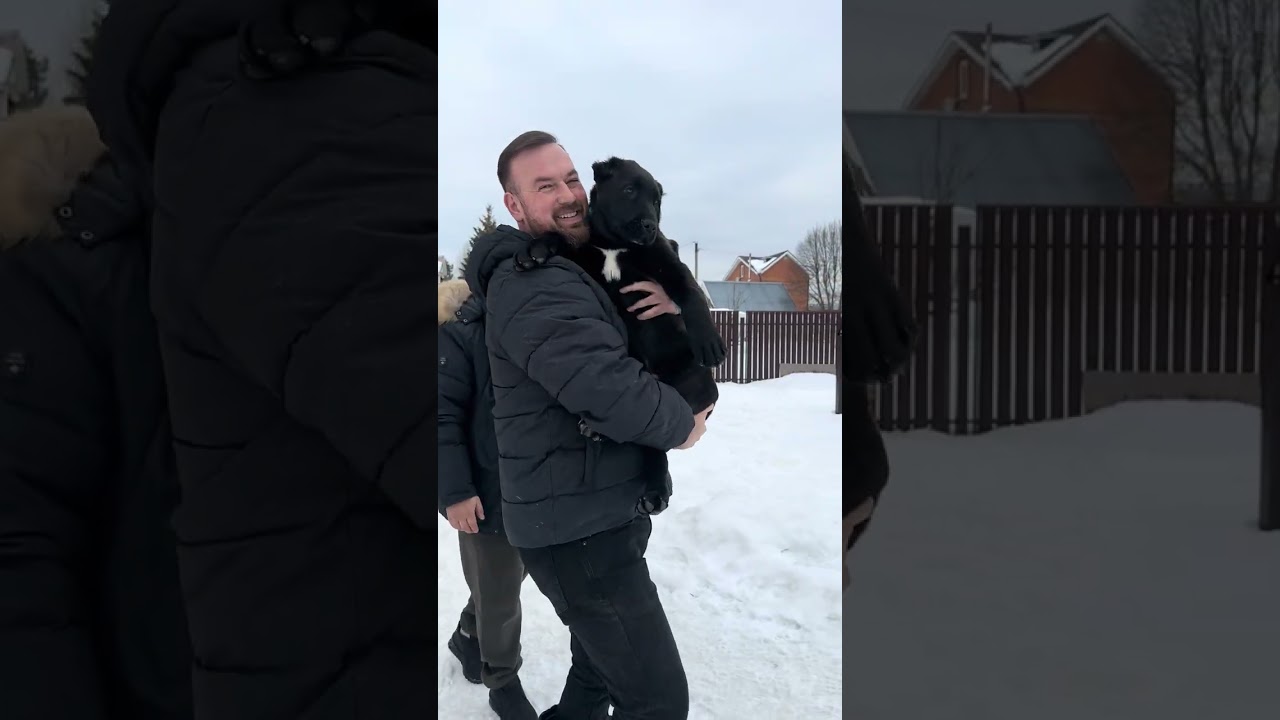 Медив, петербуржец!🥰