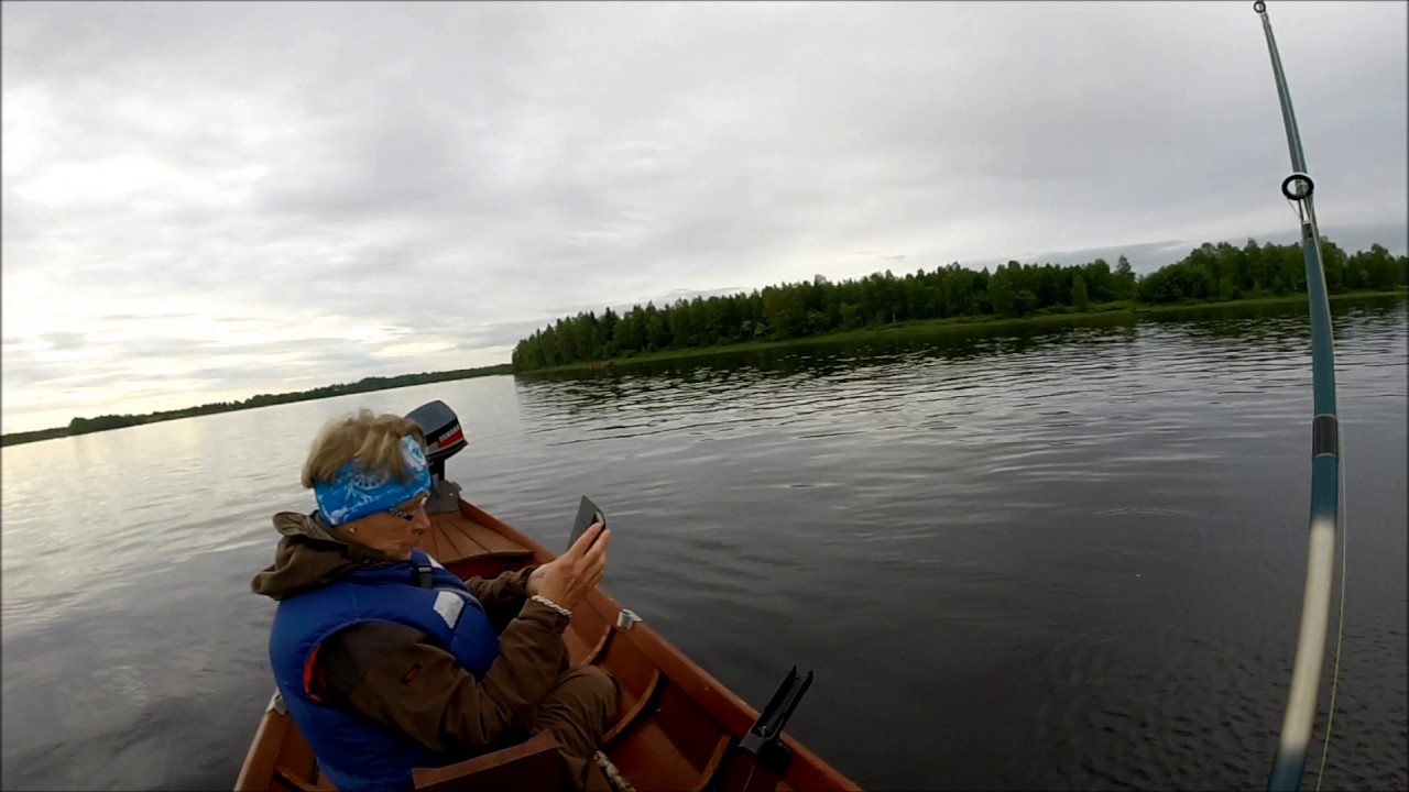 Mahtava koukkuleuka 2017,  jumping huge Salmon 120 cm 17,2 kg  Tornionjoki, Tornio-river, Finland