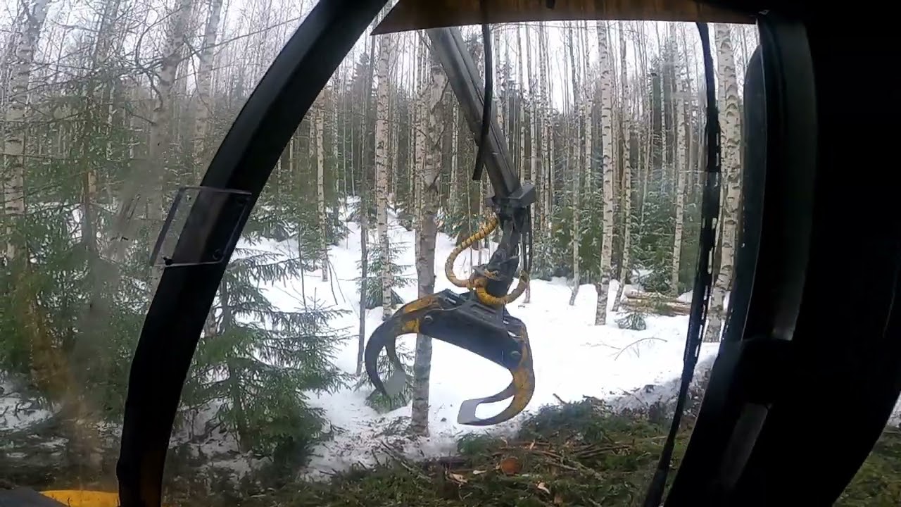 Ponsse Buffalo Surkeat kelit, risuja avuksi