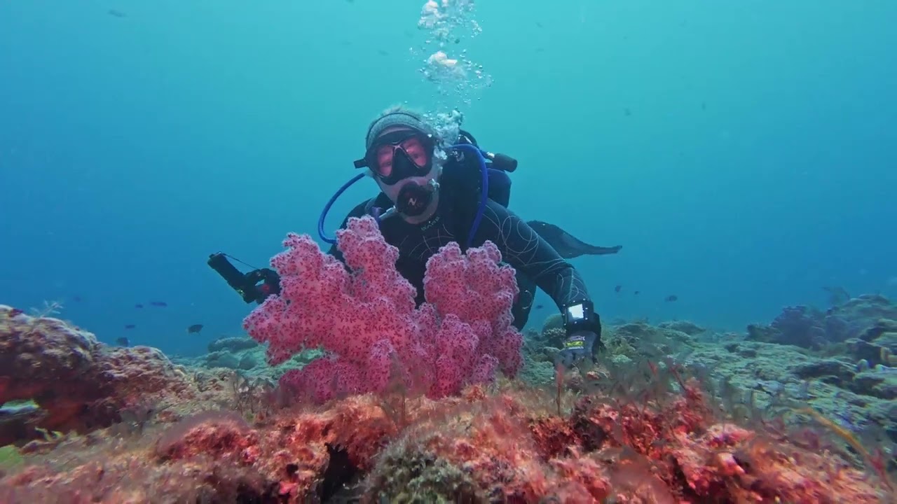 Exmouth - beaches and diving