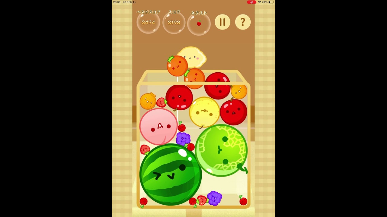 【スイカゲーム】角スイカ20240203-2