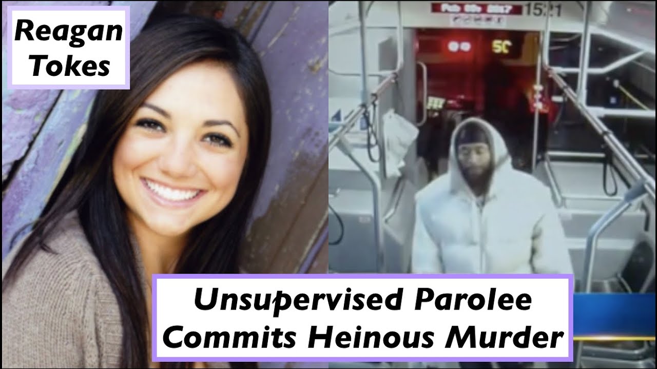 1 Hour| Parolee Commits Violent Murder While Unmonitored | Reagan Tokes | ASMR Extended Mic Brushing