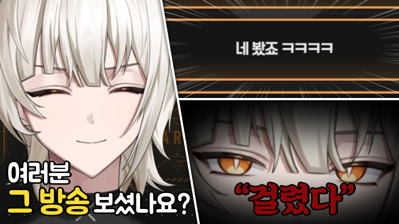 다른 사람 방송 보시나요?