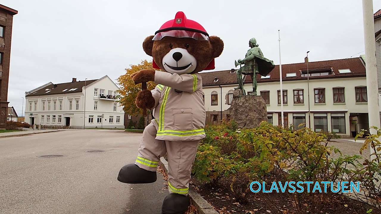 Bjørnis besøker Sarpsborg