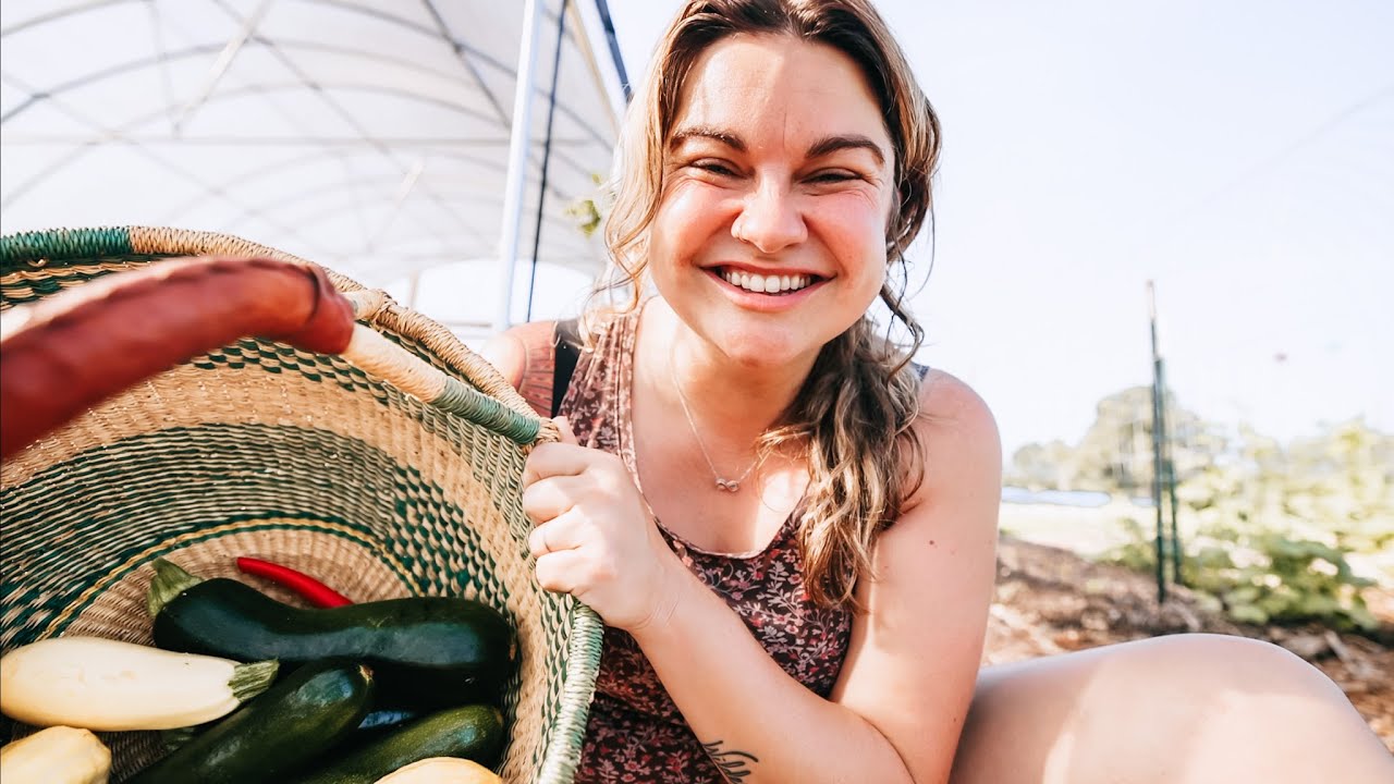Harvesting Tips (and getting to the bottom of contaminated soil) | VLOG