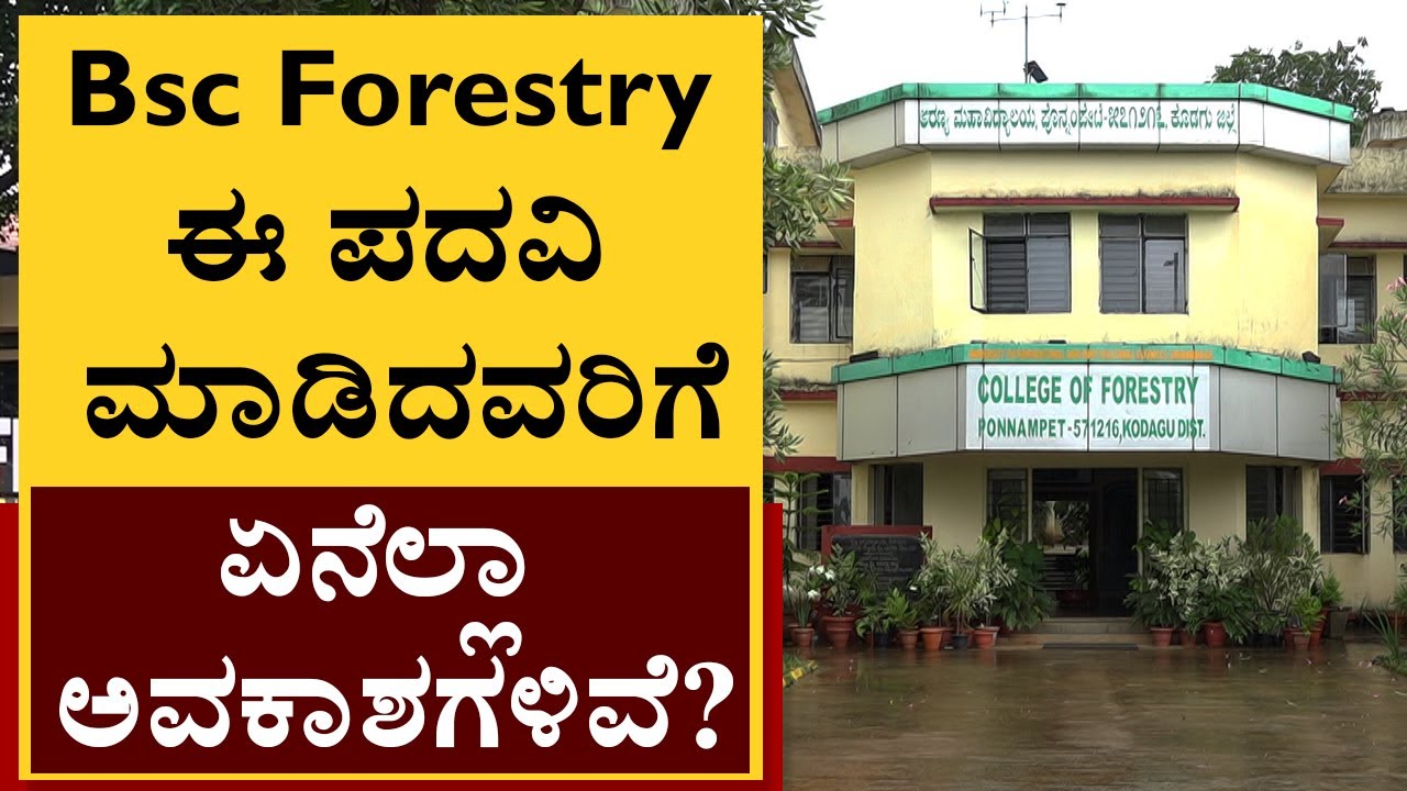 Bsc Forestry ಈ ಪದವಿ ಮಾಡಿದವರಿಗೆ ಸರ್ಕಾರಿ ಹುದ್ದೆಗೆ ಪರದಾಟವಿಲ್ಲ| College of Forestry, Ponnampet |News1st
