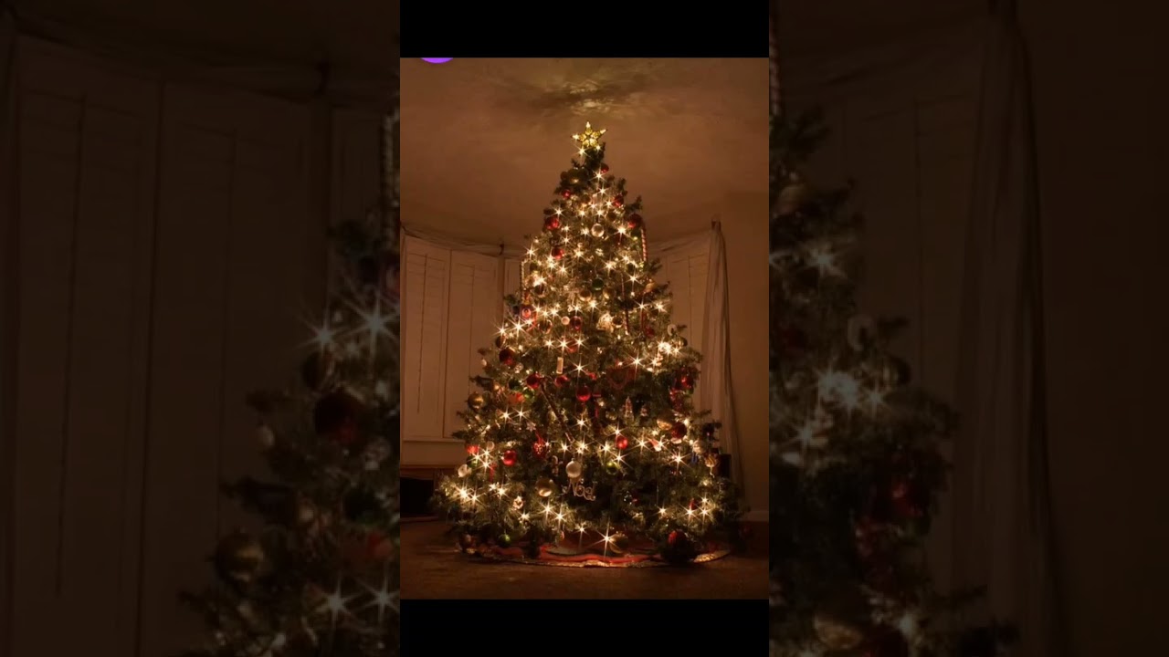 #anime #тренды #hyperpoptypebeatfreeforprofit #hypertrap #юмор #liluziverthyperpoptypebeat #dance