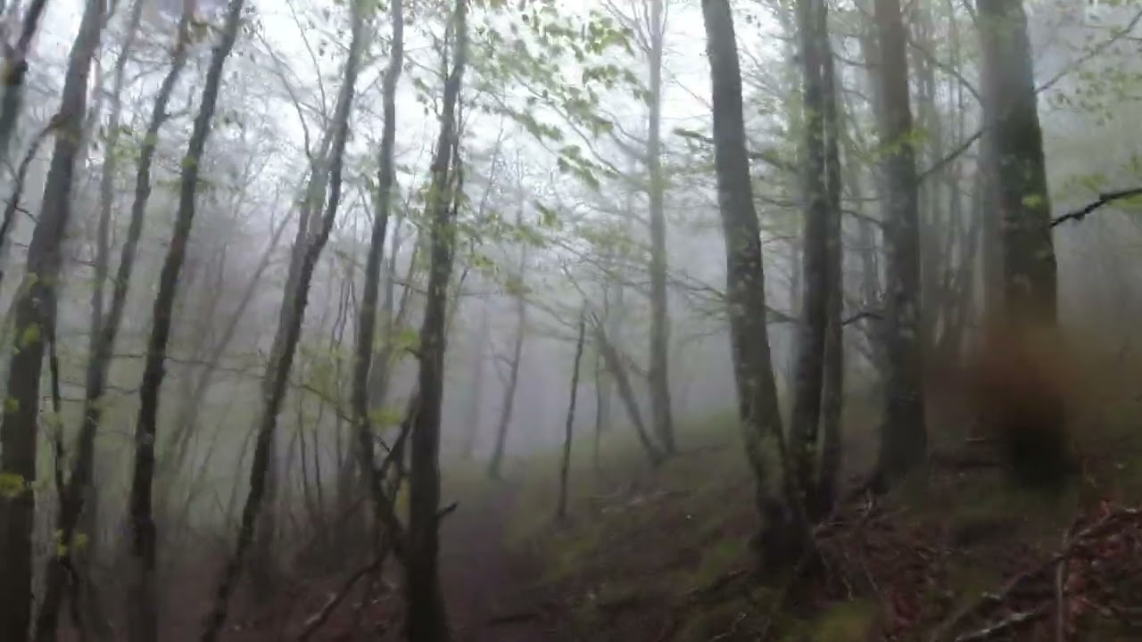 SP2 Enduro De Lacaune 2022
