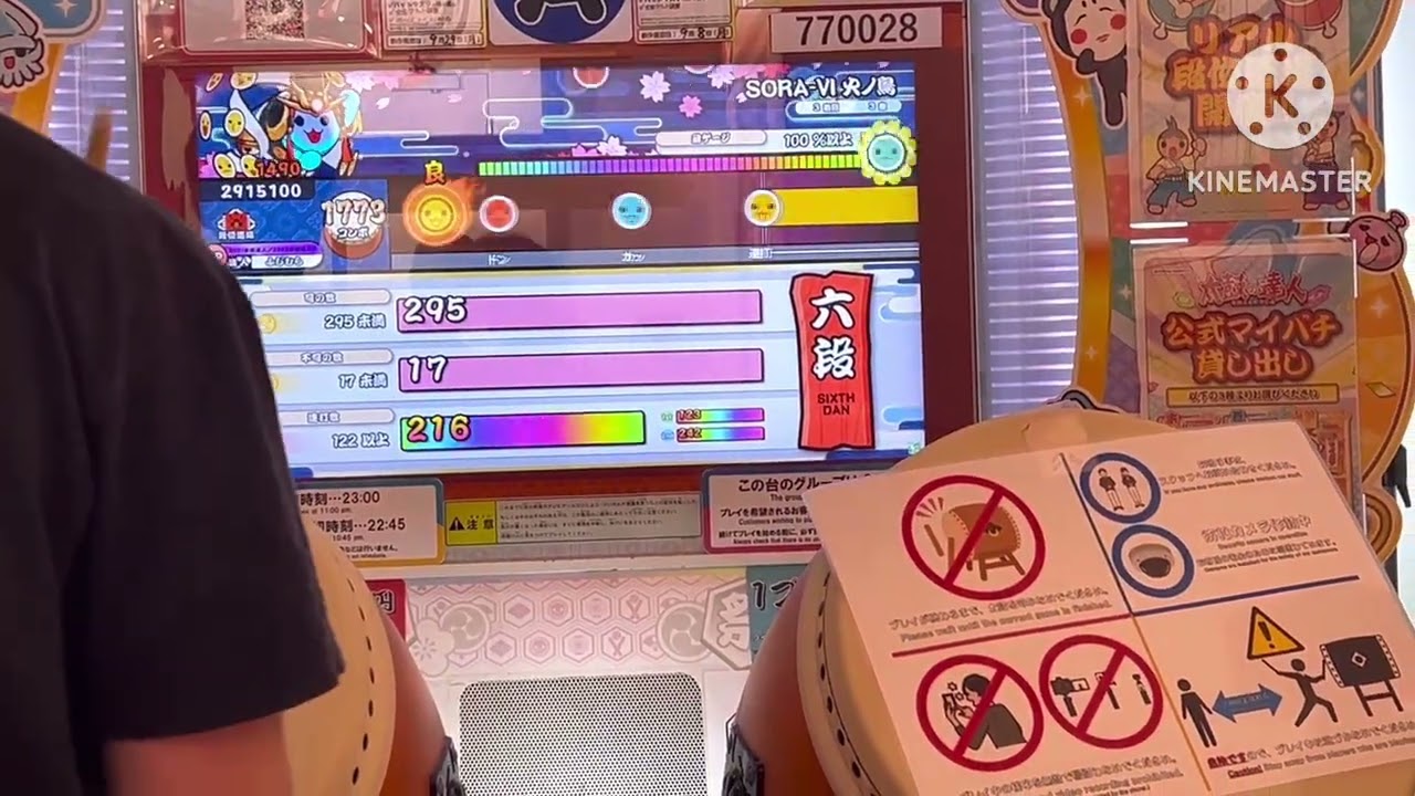 JAEPO十段全良者によるリアル段位道場一発全良集