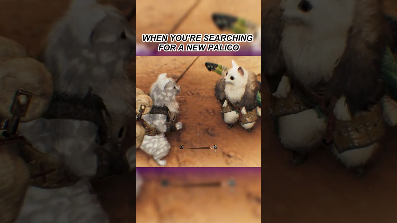Monster Hunter Wilds: 🐈 Cute Palicos for Hire 🐈 