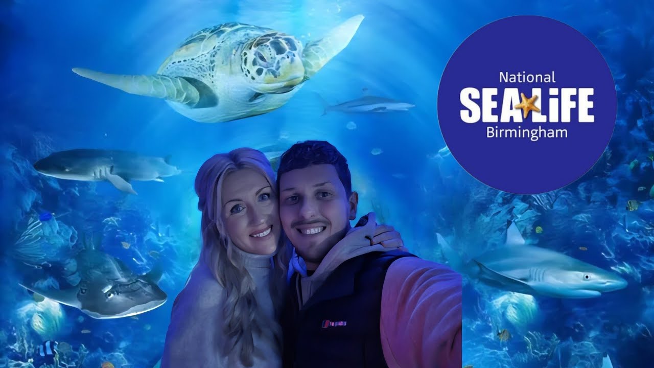 He hatched in her handbag at the airport! | SEA LIFE Centre | Birmingham