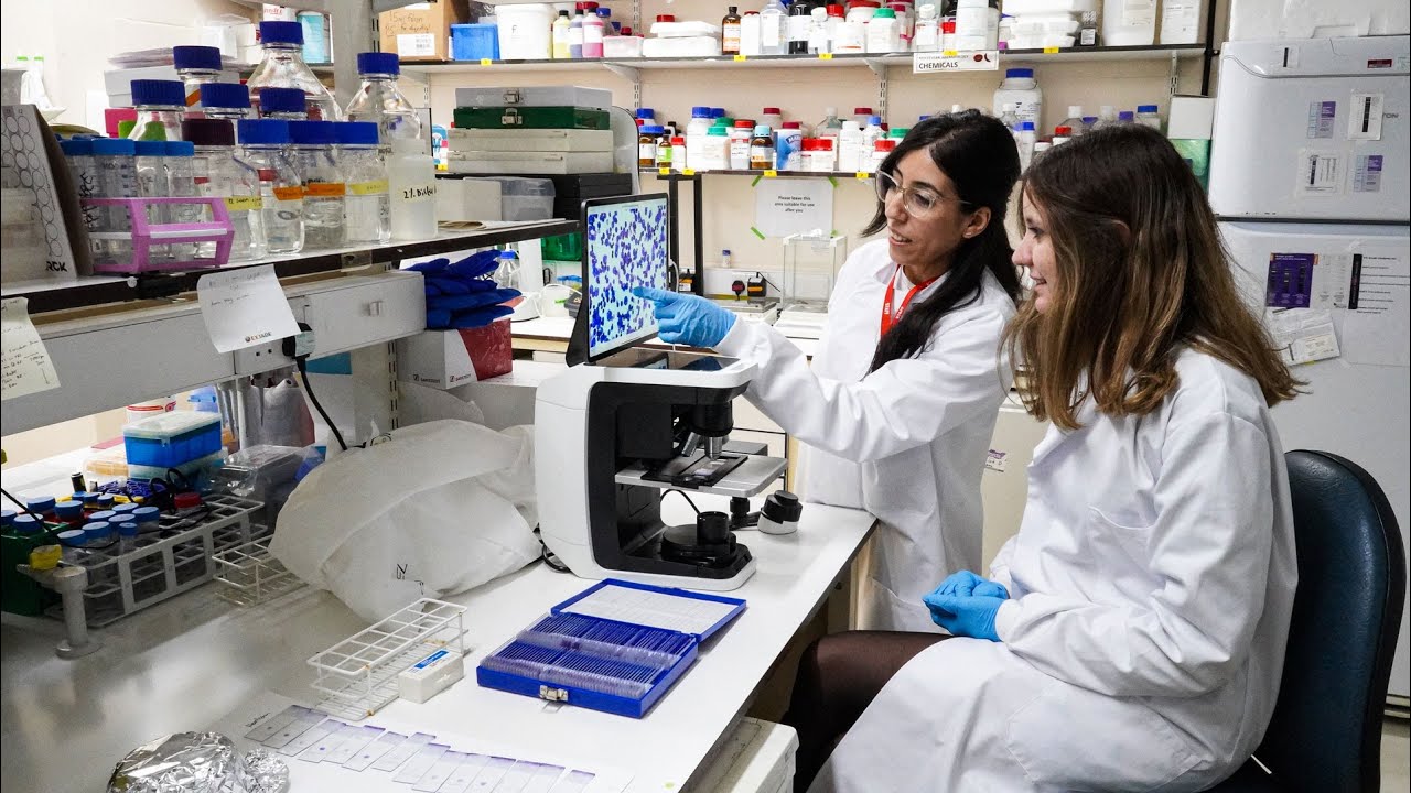 KHP meets Dr Sara El Hoss, sickle cell disease researcher at King's College London