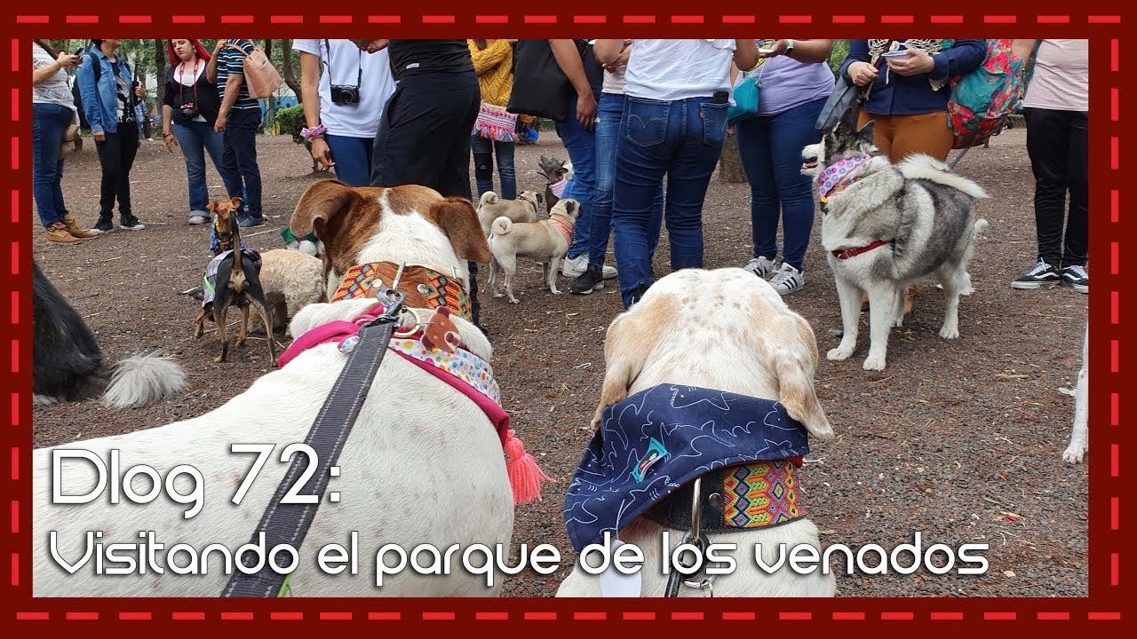Dlog 72: Visitando el parque de los venados con Pashminas con causa