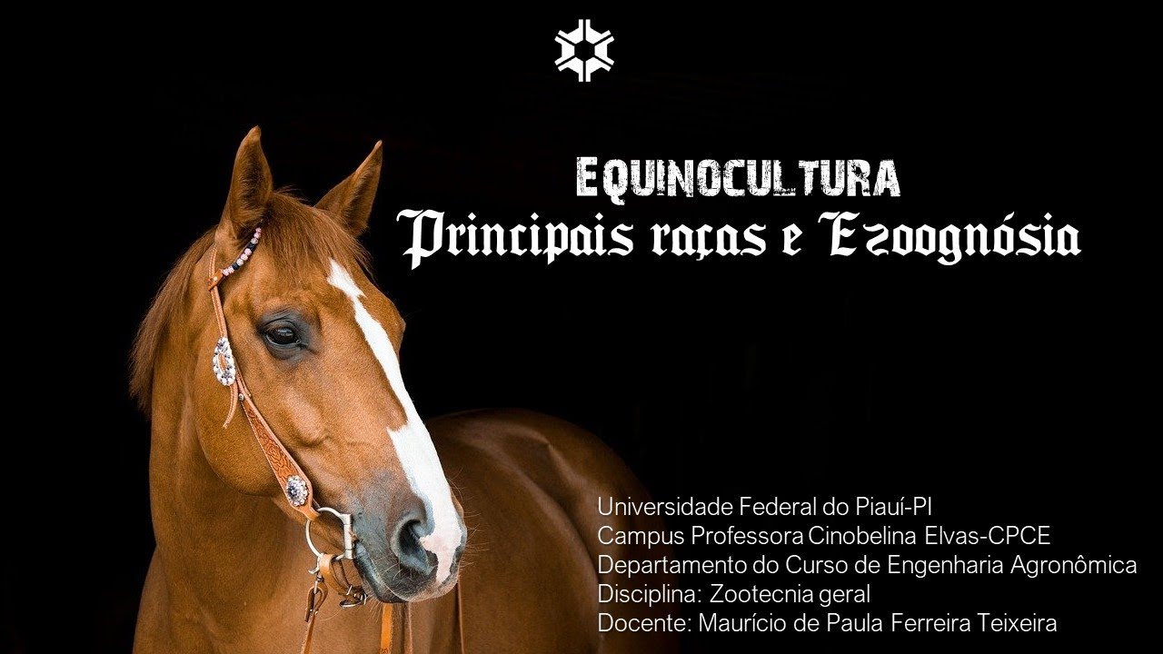 Equinocultura - Principais raças e Ezoognósia