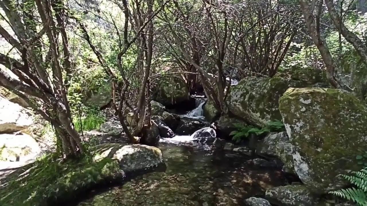 Musica relajante para estudiar. El chorro grande de la Granja. Relaxing Music.