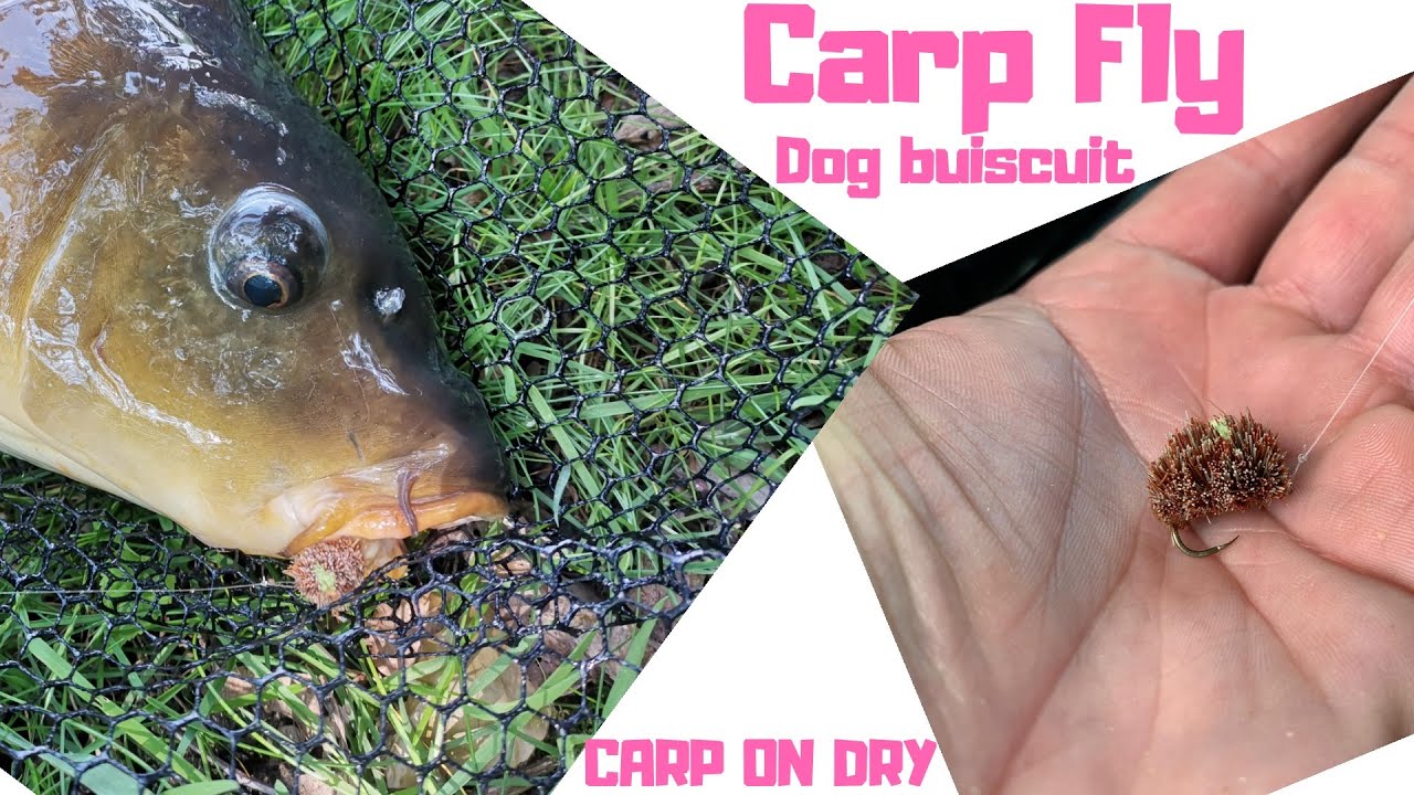 Carp Dry Fly - Dog buiscuit Fly
