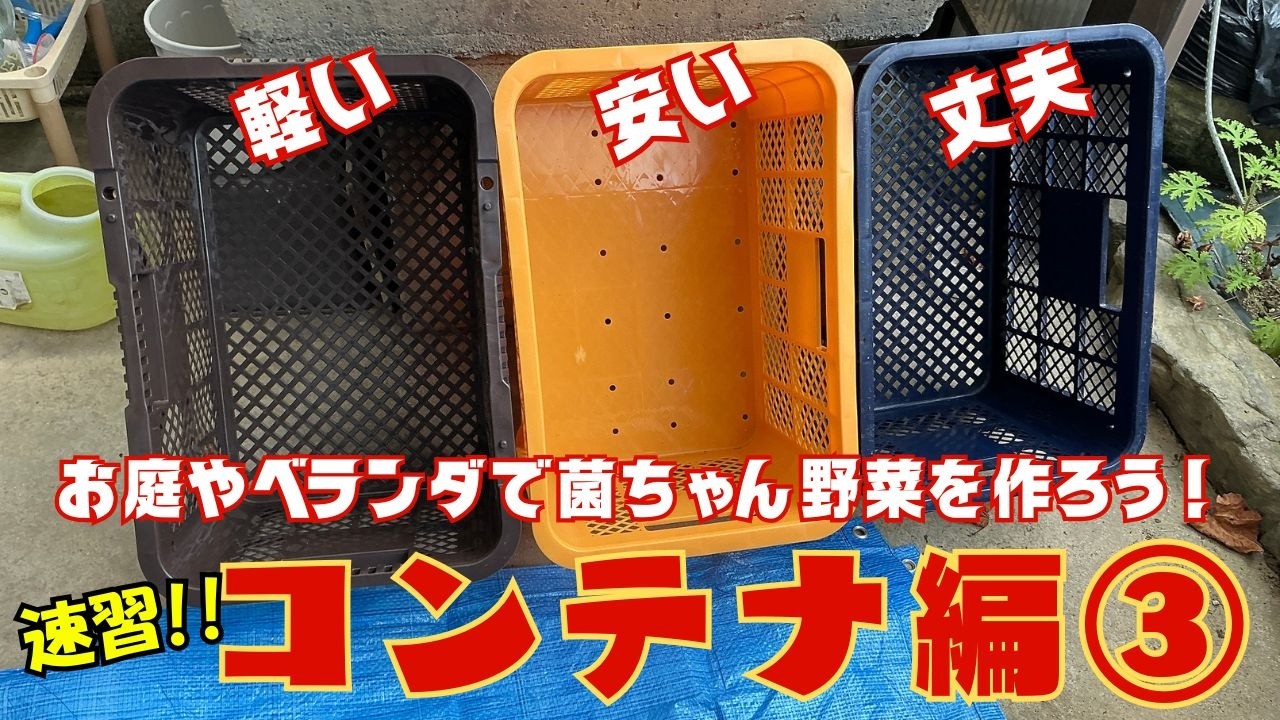 【速習】お庭で菌ちゃん野菜栽培を楽しむ！菌ちゃんコンテナの作り方★菌ちゃん農法３年目