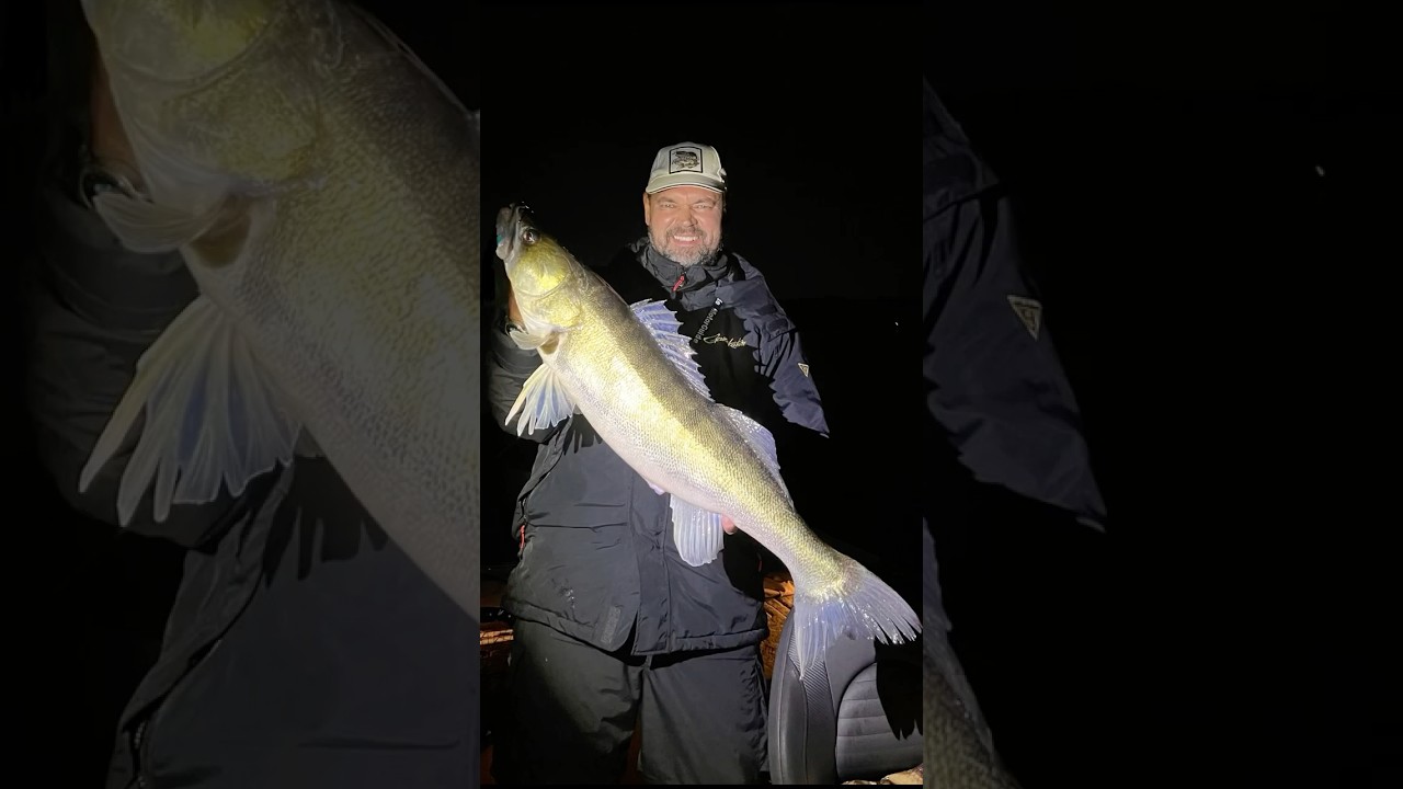 Ловля трофейного судака в полнолуние! 