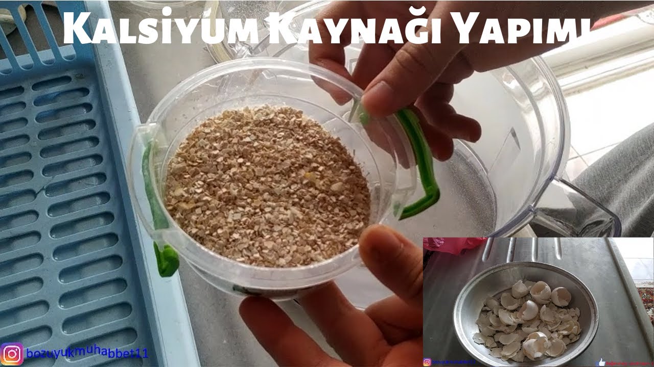 Yumurta Kabuklarını ATMAYIN !! KALAMAR KEMİĞİNDEN DAHA FAZLA KALSİYUM VAR | Kalsiyum Kaynağı Yapımı